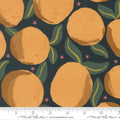 Jessica Rose| Peachy | Midnight 38150 17