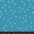 Ruby Star Society | Starry | Vintage Blue RS4109 85