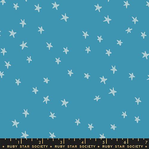Ruby Star Society | Starry | Vintage Blue RS4109 85