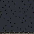 Ruby Star Society | Starry | Charcoal RS4109 91