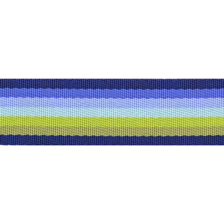 Tula Pink | Floral Reef | Smooth Sailing 1.5" Webbing in Marine
