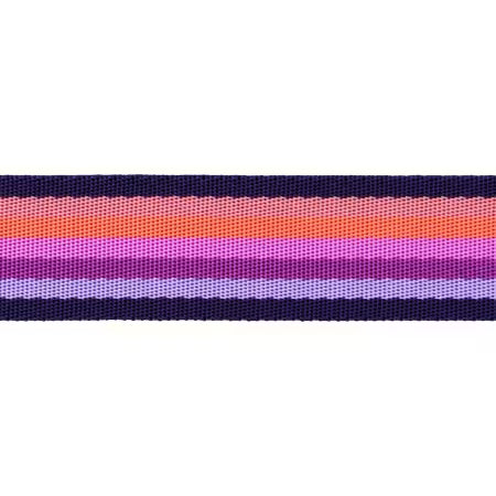 Tula Pink | Floral Reef | Smooth Sailing 1.5" Webbing in Ultraviolet